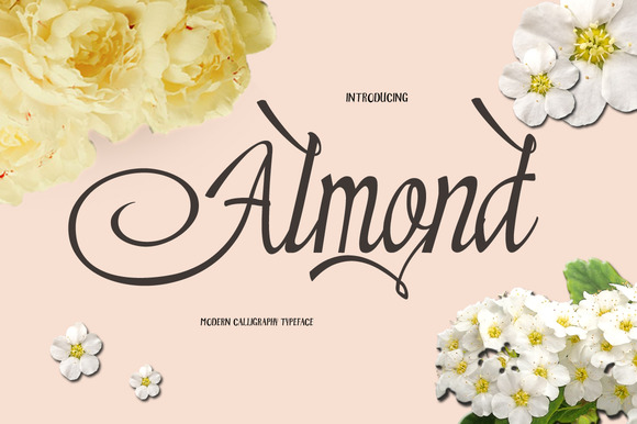 Almond Font: A Creative Typeface for Handmade and Print Designs