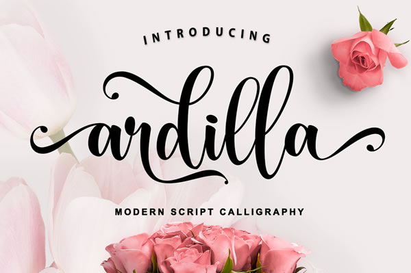 Ardilla Font: A Handwritten Script for Elegant Branding and Design Projects