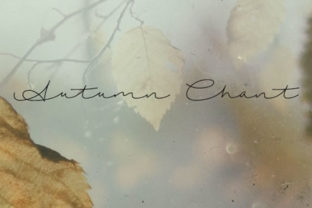 Autumn Chant Font for Small Business Branding