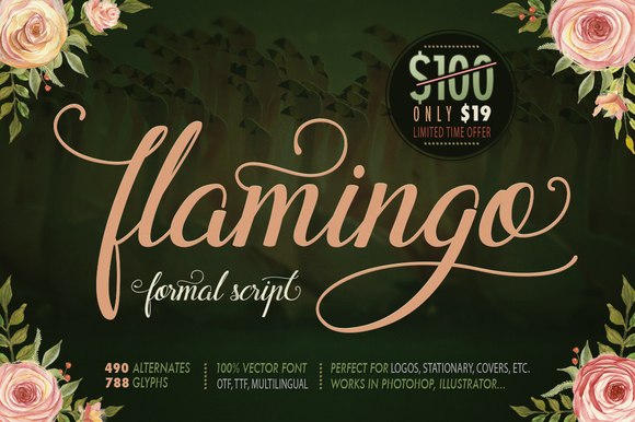 Flamingo Font: A Handcrafted Typeface for Editorial Elegance