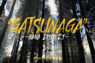 Gatsunaga Hand Brushes Font for Modern Web Design