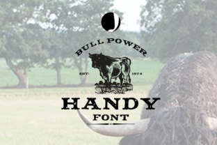 Handy Font: A Vintage Typeface for Editorial Design